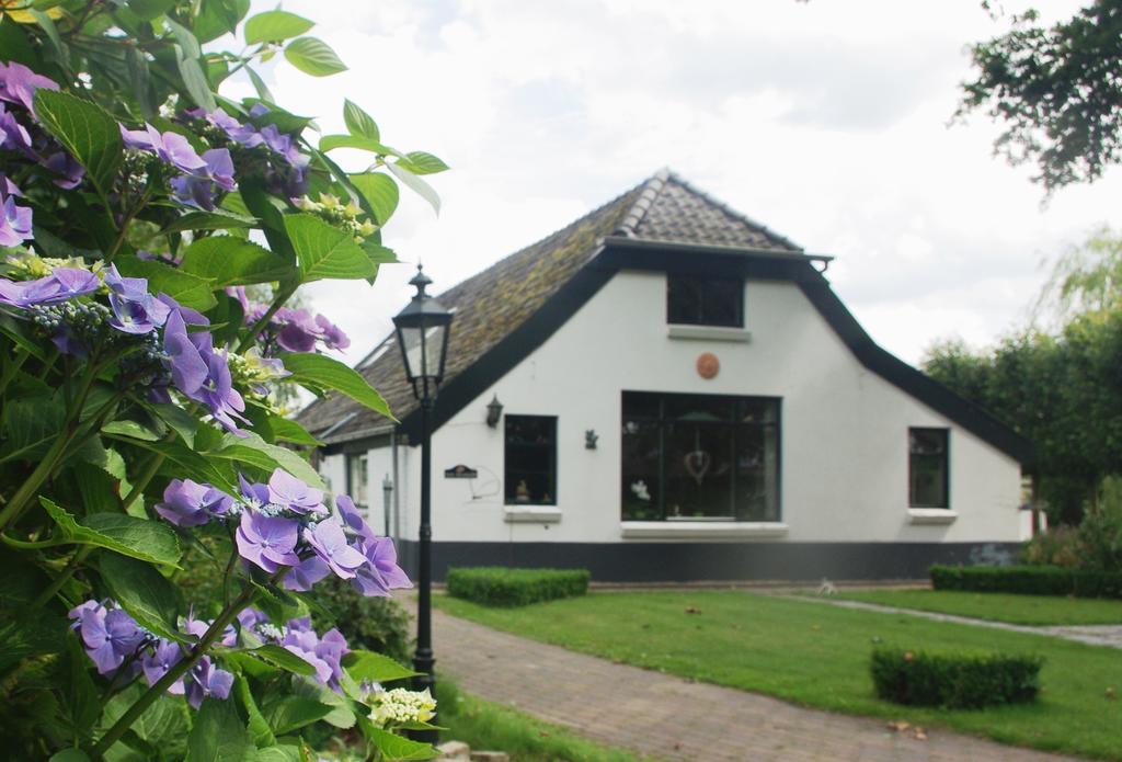 Bed&Breakfast 't Eikeltje Hollandscheveld Exterior foto